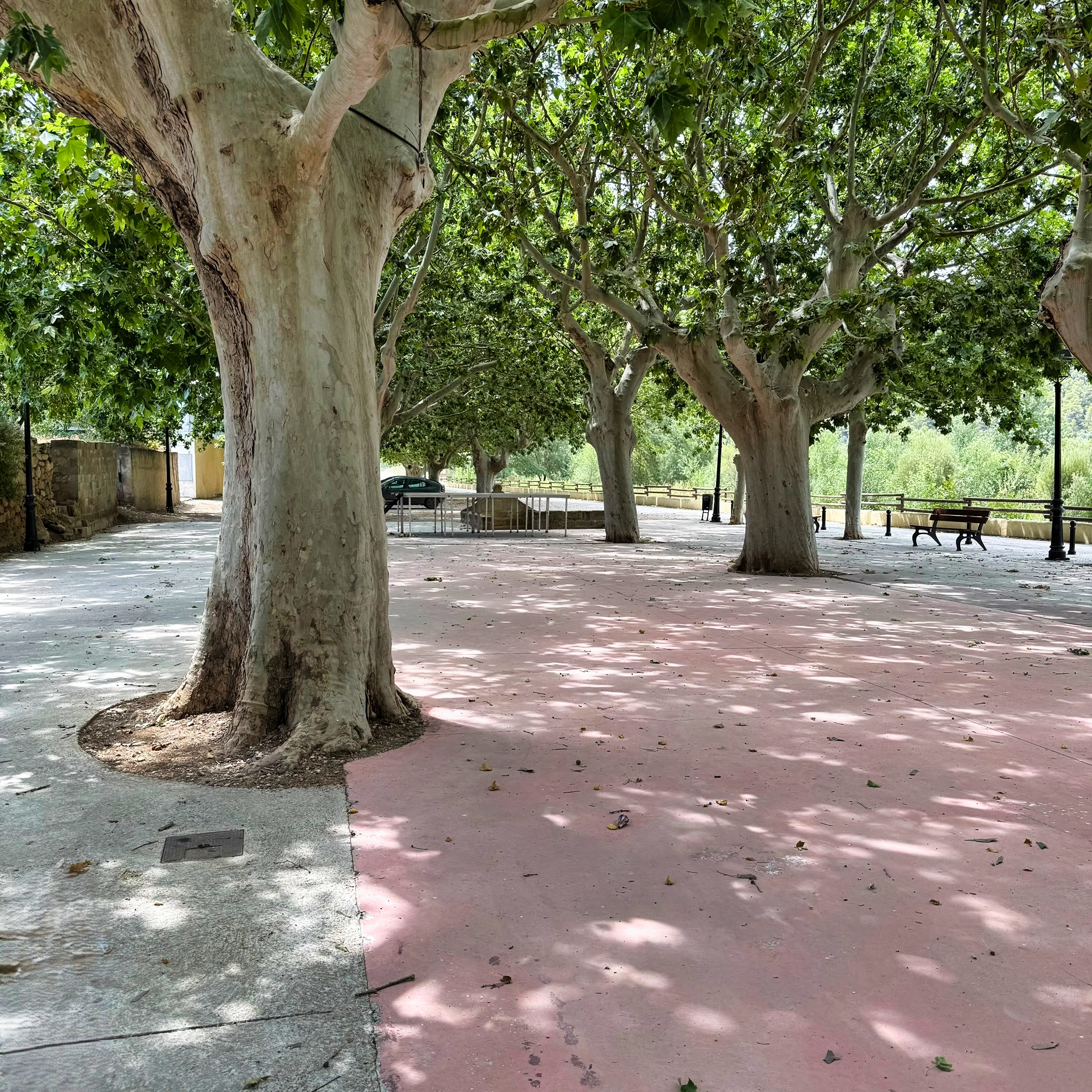 Passeig de la Font